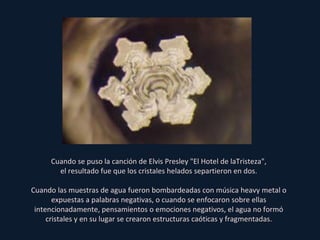 Cuando se puso la canción de Elvis Presley "El Hotel de laTristeza", el resultado fue que los cristales helados separtieron en dos. Cuando las muestras de agua fueron bombardeadas con música heavy metal o expuestas a palabras negativas, o cuando se enfocaron sobre ellas intencionadamente, pensamientos o emociones negativos, el agua no formó cristales y en su lugar se crearon estructuras caóticas y fragmentadas. 