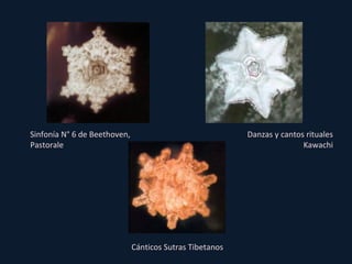 Sinfonía N° 6 de Beethoven, Pastorale Cánticos Sutras Tibetanos Danzas y cantos rituales Kawachi 