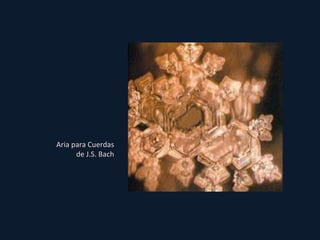 Aria para Cuerdas de J.S. Bach 