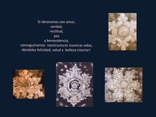 Si obraramos con amor, verdad, rectitud, paz y benevolencia, conseguiriamos  reestructurar nuestras vidas, dándoles felicidad, salud y  belleza interior!  