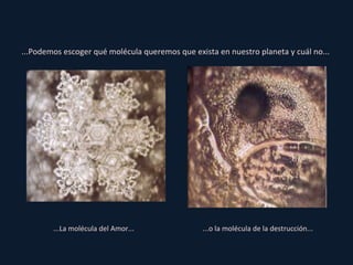 ...Podemos escoger qué molécula queremos que exista en nuestro planeta y cuál no...  ...La molécula del Amor... ...o la molécula de la destrucción... 