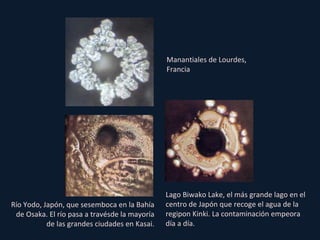 Manantiales de Lourdes, Francia Lago Biwako Lake, el más grande lago en el centro de Japón que recoge el agua de la regipon Kinki. La contaminación empeora día a día. Río Yodo, Japón, que sesemboca en la Bahía de Osaka. El río pasa a travésde la mayoría de las grandes ciudades en Kasai. 