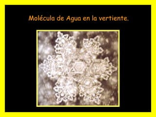Molécula de Agua en la vertiente.
 