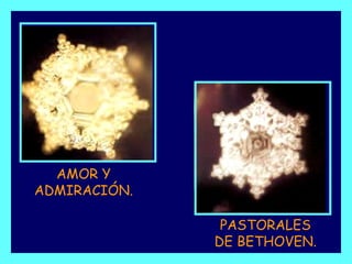 AMOR Y
ADMIRACIÓN.

               PASTORALES
              DE BETHOVEN.
 