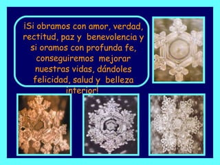 ¡Si obramos con amor, verdad, rectitud, paz y  benevolencia y si oramos con profunda fe, conseguiremos  mejorar nuestras vidas, dándoles felicidad, salud y  belleza interior!   