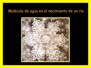 Molécula de agua en el nacimiento de un rio 