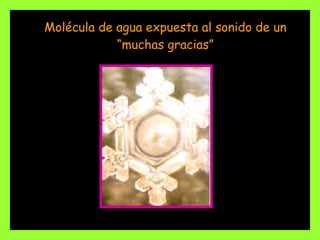 Molécula de agua expuesta al sonido de un “muchas gracias” 