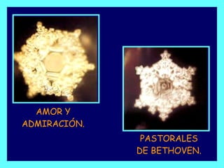 AMOR Y ADMIRACIÓN. PASTORALES DE BETHOVEN. 