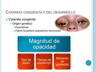 CATARATA CONGÉNITA Y DEL DESARROLLO
   Catarata congénita
       Origen genético
         Esporádicas
         Patrón hereditario (autosómico dominante)




                     Magnitud de
                      opacidad
                                              Momento
               Tipo de       Tiempo de
                                                 de
                lesión       exposición
                                              gestación
 