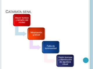 CATARATA SENIL
     Mayor dureza
     y tamaño del
         núcleo



                    Miopización
                      gradual




                                    Falta de
                                  luminosidad



                                                Visión borrosa
                                                y disminución
                                                 de agudeza
                                                     visual
 