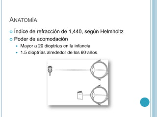 ANATOMÍA
 Índice de refracción de 1,440, según Helmholtz
 Poder de acomodación
     Mayor a 20 dioptrías en la infancia
     1.5 dioptrías alrededor de los 60 años
 
