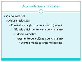 Acomodación y DiabetesVía del sorbitolAldosareductasaConvierte a la glucosa en sorbitol (poliol)Difundedifícilmentefuera del cristalinoEdema osmóticoAumento del volúmen del cristalinoEventualmentecataratametabólica.
