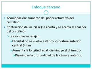 Enfoque cercanoAcomodación: aumento del poder refractivo del cristalino.Contracción del m. ciliar (se acorta y se acerca al ecuador del cristalino)Las zónulas se relajanEl cristalino se vuelve esférico: curvatura anterior central 3 mmAumenta la longitud axial, disminuye el diámetro.Disminuye la profundidad de la cámara anterior.