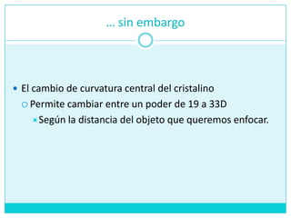 … sin embargoEl cambio de curvatura central del cristalinoPermitecambiar entre un poder de 19 a 33DSegún la distancia del objetoquequeremosenfocar.