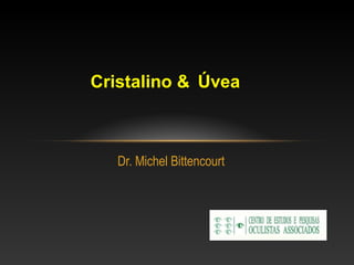 Cristalino & Úvea 
Dr. Michel Bittencourt 
 