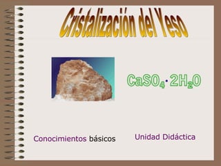 Cristalización del Yeso Conocimientos  básicos Unidad Didáctica Cristalización del Yeso 