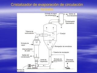 Cristalizador de evaporación de circulación
                  forzada
 