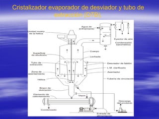 Cristalizador evaporador de desviador y tubo de
                extracción (DTB).
 