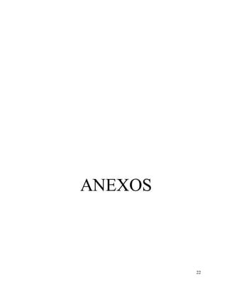 22
ANEXOS
 
