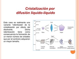 Cristalización por 
difusión líquido-líquido 
Este caso es realmente una 
variante “ralentizada” de la 
cristalización por efecto del 
disolvente. Dicha 
ralentización tiene como 
consecuencia la formación de 
un menor número de cristales 
que por el contrario adquieren 
un mayor tamaño. 
 