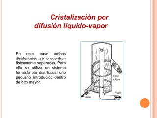 Cristalización por 
difusión líquido-vapor 
En este caso ambas 
disoluciones se encuentran 
físicamente separadas. Para 
ello se utiliza un sistema 
formado por dos tubos, uno 
pequeño introducido dentro 
de otro mayor. 
 