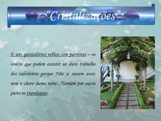 “Cristalizações”

E uns quintalórios velhos com parreiras – os
únicos que podem assistir ao duro trabalho
dos calceteiros porque Não se ouvem aves;
nem o choro duma nora! /Tornam por outra
parte os viandantes
 