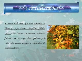 “Cristalizações”

E nesse rude mês, que não consente as
flores (…) As árvores despidas. Sóbrias
cores! - No Outono as árvores perdem as
folhas e as cores que elas espalham pelo
chão são verdes escuras e castanhos de
vários matizes
 