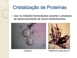Cristalização de Proteínas
 Uso na indústria farmacêutica durante o processo
de desenvolvimento de novos medicamentos.
Lisozima Proteína da clara de ovo
 