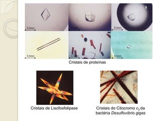 Cristais do Citocromo c3 da
bactéria Desulfovibrio gigas
Cristais de proteínas
Cristais de Lisofosfolipase
 