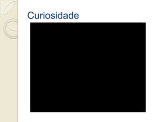 Curiosidade
 