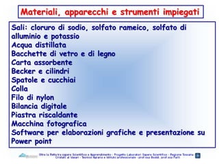 Materiali, apparecchi e strumenti impiegati
Sali: cloruro di sodio, solfato rameico, solfato di
alluminio e potassio
Acqua distillata
Bacchette di vetro e di legno
Carta assorbente
Becker e cilindri
Spatole e cucchiai
Colla
Filo di nylon
Bilancia digitale
Piastra riscaldante
Macchina fotografica
Software per elaborazioni grafiche e presentazione su
Power point
 