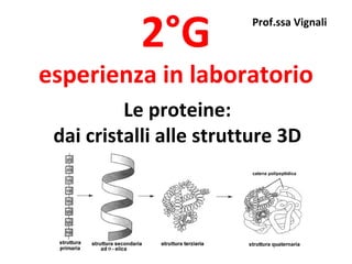 2°G           Prof.ssa Vignali



esperienza in laboratorio
          Le proteine:
 dai cristalli alle strutture 3D
 