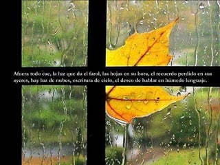 Afuera todo cae, la luz que da el farol, las hojas en su hora, el recuerdo perdido en sus ayeres, hay luz de nubes, escritura de cielo, el deseo de hablar en húmedo lenguaje.  