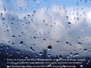 Estoy en el gotear del llanto más profundo, el cielo está de frío se congeló su alma, precipitado azul en partes va cayendo, las frases son banderas que iluminan las calles, en esta hora breve del húmedo bostezo   