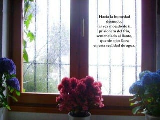 Hacia la humedad desnudo,  tal vez mojado de ti, prisionero del frío, sentenciado al llanto, que sin ojos llora  en esta realidad de agua. 