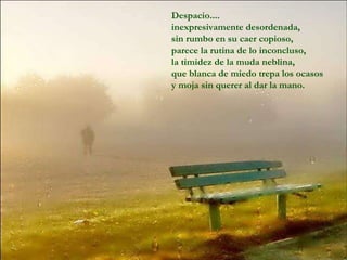 Despacio.... inexpresivamente desordenada,  sin rumbo en su caer copioso,  parece la rutina de lo inconcluso,  la timidez de la muda neblina,  que blanca de miedo trepa los ocasos  y moja sin querer al dar la mano. 