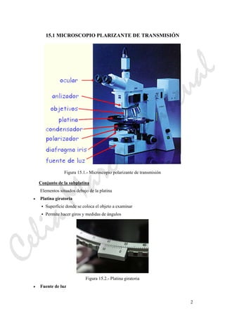 2
15.1 MICROSCOPIO PLARIZANTE DE TRANSMISIÓN
Figura 15.1.- Microscopio polarizante de transmisión
Conjunto de la subplatina
Elementos situados debajo de la platina
• Platina giratoria
Superficie donde se coloca el objeto a examinar
Permite hacer giros y medidas de ángulos
Figura 15.2.- Platina giratoria
• Fuente de luz
CeliaMarcosPascual
 