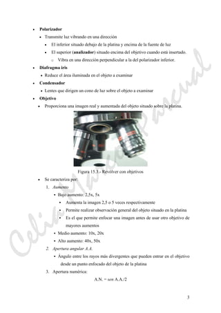 3
• Polarizador
• Transmite luz vibrando en una dirección
• El inferior situado debajo de la platina y encima de la fuente de luz
• El superior (analizador) situado encima del objetivo cuando está insertado.
o Vibra en una dirección perpendicular a la del polarizador inferior.
• Diafragma iris
• Reduce el área iluminada en el objeto a examinar
• Condensador
• Lentes que dirigen un cono de luz sobre el objeto a examinar
• Objetivo
• Proporciona una imagen real y aumentada del objeto situado sobre la platina.
Figura 15.3.- Revólver con objetivos
• Se caracteriza por:
1. Aumento
Bajo aumento: 2,5x, 5x
Aumenta la imagen 2,5 o 5 veces respectivamente
Permite realizar observación general del objeto situado en la platina
Es el que permite enfocar una imagen antes de usar otro objetivo de
mayores aumentos
Medio aumento: 10x, 20x
Alto aumento: 40x, 50x
2. Apertura angular A.A.
Ángulo entre los rayos más divergentes que pueden entrar en el objetivo
desde un punto enfocado del objeto de la platina
3. Apertura numérica:
A.N. = sen A.A./2
CeliaMarcosPascual
 