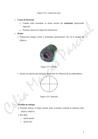 5
Figura 15.6.- Lámina de mica
• Lentes de Bertrand
• Cuando están insertadas se sitúan encima del analizador (polarizador
superior)
• Permiten observar la figura de interferencia
• Ocular
• Proporciona imagen virtual y aumentada, generalmente 10x, de la imagen del
objetivo.
Figura 15.7.- Ocular
• Incluye un retículo que marca las direcciones de vibración de los polarizadores
Figura 15.8.- Retículo
• Tornillos de enfoque
• Permiten enfocar el objeto situado sobre la platina variando la distancia entre
objeto y objetivo.
• Dos tipos:
o Ajuste grueso
o Ajuste fino
CeliaMarcosPascual
 