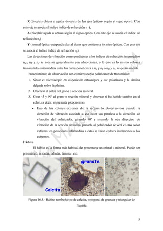 CeliaMarcosPascual
5
X (bisectriz obtusa o aguda -bisectriz de los ejes ópticos- según el signo óptico. Con
este eje se asocia el índice índice de refracción n ),
Z (bisectriz aguda u obtusa según el signo optico. Con este eje se asocia el índice de
refracción nγ)
Y (normal óptica -perpendicular al plano que contiene a los ejes ópticos. Con este eje
se asocia el índice índice de refracción nβ).
Las direcciones de vibración correspondientes a los índices de refracción intermedios
nα', nβ' y nγ' se asocian generalmente con absorciones, o lo que es lo mismo colores
transmitidos intermedios entre los correspondientes a nα y nβ o nβ y nγ, respectivamente.
Procedimiento de observación con el microscopio polarizante de transmisión:
1. Situar el microscopio en disposición ortoscópica y luz polarizada y la lámina
delgada sobre la platina.
2. Observar el color del grano o sección mineral.
3. Girar 45 y 90º el grano o sección mineral y observar si ha habido cambio en el
color, es decir, si presenta pleocroismo.
• Uno de los colores extremos de la sección lo observaremos cuando la
dirección de vibración asociada a ese color sea paralela a la dirección de
vibración del polarizador, girando 90º y situando la otra dirección de
vibración de la sección cristalina paralela al polarizador se verá el otro color
extremo; en posiciones intermedias a éstas se verán colores intermedios a los
extremos.
Hábito
El hábito es la forma más habitual de presentarse un cristal o mineral. Puede ser
prismático, acicular, tabular, laminar, etc.
Figura 16.5.- Hábito romboédrico de calcita, octogonal de granate y triangular de
fluorita
 