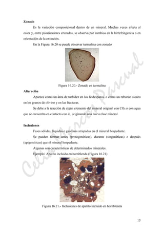 CeliaMarcosPascual
13
Zonado
Es la variación composicional dentro de un mineral. Muchas veces afecta al
color y, entre polarizadores cruzados, se observa por cambios en la birrefringencia o en
orientación de la extinción.
En la Figura 16.20 se puede observar turmalina con zonado
Figura 16.20.- Zonado en turmalina
Alteración
Aparece como un área de turbidez en los feldespatos, o como un reborde oscuro
en los granos de olivino y en las fracturas.
Se debe a la reacción de algún elemento del mineral original con CO2 o con agua
que se encuentra en contacto con él, originando una nueva fase mineral.
Inclusiones
Fases sólidas, líquidas o gaseosas atrapadas en el mineral hospedante.
Se pueden formar antes (protogenéticas), durante (singenéticas) o después
(epigenéticas) que el mineral hospedante.
Algunas son características de determinados minerales.
Ejemplo: Apatito incluido en hornblenda (Figura 16.21)
Figura 16.21.- Inclusiones de apatito incluido en hornblenda
 