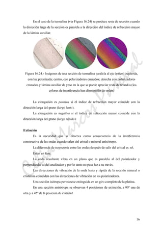 CeliaMarcosPascual
16
En el caso de la turmalina (ver Figura 16.24) se produce resta de retardos cuando
la dirección larga de la sección es paralela a la dirección del índice de refracción mayor
de la lámina auxiliar.
Figura 16.24.- Imágenes de una sección de turmalina paralela al eje óptico: izquierda,
con luz polarizada; centro, con polarizadores cruzados; derecha con polarizadores
cruzados y lámina auxiliar de yeso en la que se puede apreciar resta de retardos (los
colores de interferencia han disminuido de orden)
La elongación es positiva si el índice de refracción mayor coincide con la
dirección larga del grano (largo lento).
La elongación es negativa si el índice de refracción menor coincide con la
dirección larga del grano (largo rápido).
Extinción
Es la oscuridad que se observa como consecuencia de la interferencia
constructiva de las ondas cuando salen del cristal o mineral anisótropo.
La diferencia de trayectoria entre las ondas después de salir del cristal es: nλ
Están en fase.
La onda resultante vibra en un plano que es paralelo al del polarizador y
perpendicular al del analizador y por lo tanto no pasa luz a su través.
Las direcciones de vibración de la onda lenta y rápida de la sección mineral o
cristalina coinciden con las direcciones de vibración de los polarizadores.
Una sección isótropa permanece extinguida en un giro completo de la platina.
En una sección anisótropa se observan 4 posiciones de extinción, a 90º una de
otra y a 45º de la posición de claridad.
 
