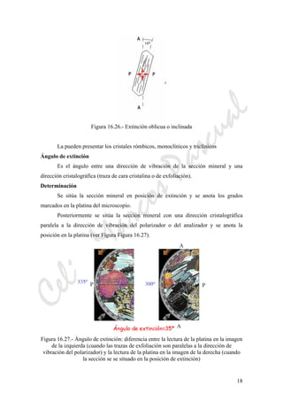 CeliaMarcosPascual
18
Figura 16.26.- Extinción oblicua o inclinada
La pueden presentar los cristales rómbicos, monoclínicos y triclínicos
Ángulo de extinción
Es el ángulo entre una dirección de vibración de la sección mineral y una
dirección cristalográfica (traza de cara cristalina o de exfoliación).
Determinación
Se sitúa la sección mineral en posición de extinción y se anota los grados
marcados en la platina del microscopio.
Posteriormente se sitúa la sección mineral con una dirección cristalográfica
paralela a la dirección de vibración del polarizador o del analizador y se anota la
posición en la platina (ver Figura Figura 16.27).
Figura 16.27.- Ángulo de extinción: diferencia entre la lectura de la platina en la imagen
de la izquierda (cuando las trazas de exfoliación son paralelas a la dirección de
vibración del polarizador) y la lectura de la platina en la imagen de la derecha (cuando
la sección se se situado en la posición de extinción)
 