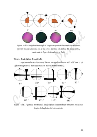 CeliaMarcosPascual
21
Figura 16.30.- Imágenes ortoscópicas (superior) y conoscópicas (inferior) de una
sección mineral uniáxica, con el eje óptico paralelo a la platina del microscopio,
mostrando la figura de interferencia flash.
Figuras de eje óptico descentrado
La presentan las secciones que forman un ángulo diferente a 0º o 90º con el eje
(eje cristalográfico c. Son secciones con índices de Miller (hkl)).
Figura 16.31.- Figura de interferencia de eje óptico descentrado en diferentes posiciones
de giro de la platina del microscopio.
 