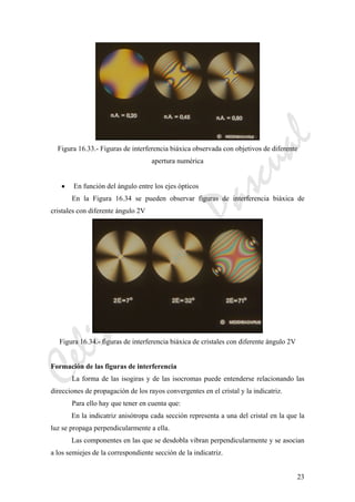 CeliaMarcosPascual
23
Figura 16.33.- Figuras de interferencia biáxica observada con objetivos de diferente
apertura numérica
• En función del ángulo entre los ejes ópticos
En la Figura 16.34 se pueden observar figuras de interferencia biáxica de
cristales con diferente ángulo 2V
Figura 16.34.- figuras de interferencia biáxica de cristales con diferente ángulo 2V
Formación de las figuras de interferencia
La forma de las isogiras y de las isocromas puede entenderse relacionando las
direcciones de propagación de los rayos convergentes en el cristal y la indicatriz.
Para ello hay que tener en cuenta que:
En la indicatriz anisótropa cada sección representa a una del cristal en la que la
luz se propaga perpendicularmente a ella.
Las componentes en las que se desdobla vibran perpendicularmente y se asocian
a los semiejes de la correspondiente sección de la indicatriz.
 