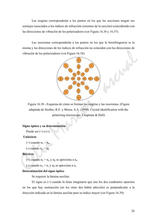 CeliaMarcosPascual
26
Las isogiras corresponderán a los puntos en los que las secciones tengan sus
semiejes (asociados a los índices de refracción extremos de la sección) coincidiendo con
las direcciones de vibración de los polarizadores (ver Figura 16.36 y 16.37).
Las isocromas corresponderán a los puntos en los que la birrefringencia es la
misma y las direcciones de los índices de refracción no coinciden con las direcciones de
vibración de los polarizadores (ver Figura 16.38).
Figura 16.38.- Esquema de cómo se forman las isogiras y las isocromas. (Figura
adaptada de Stoiber, R.E. y Morse, S.A. (1994). Crystal identification with the
polarizing microscope. Chapman & Hall)
Signo óptico y su determinación
Puede ser (+) o (-).
Uniáxicos
(+) cuando nε > nω
(-) cuando nω > nε
Biáxicos
(+) cuando nγ > nα y nβ se aproxima a nα
(-) cuando nα > nγ y nβ se aproxima a nγ
Determinación del signo óptico
Se requiere la lámina auxiliar.
El signo es (+) cuando la línea imaginaria que une los dos cuadrantes opuestos
en los que hay sustracción (en los otras dos habrá adicción) es perpendicular a la
dirección indicada en la lámina auxiliar para su índice mayor (ver Figura 16.39).
 