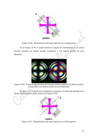 CeliaMarcosPascual
27
Figura 16.39.- Determinación del signo óptico de un cristal positivo
En la Figura 16.39 se puede observar la figura de interferencia de un cristal
uniáxico positivo sin lámina auxiliar (izquierda) y con lámina auxiliar de yeso
(derecha).
Figura 16.40.- Figura de interferencia de un cristal uniáxico positivo sin lámina auxiliar
(izquierda) y con lámina auxiliar de yeso (derecha).
El signo es (-) si dicha línea imaginaria es paralela a la dirección indicada en la
lámina auxiliar para su índice mayor (ver Figura 16.41).
Figura 16.41.- Determinación del signo óptico de un cristal negativo.
 
