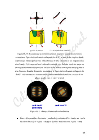 CeliaMarcosPascual
37
Figura 16.50.- Esquema de la dispersión cruzada (Superior izquierda: dispersión
mostrada en figura de interferencia en la posición de 0º, la zona de las isogiras donde
salen los ejes ópticos para el rojo está coloreada de azul y la zona de las isogiras donde
salen los ejes ópticos para el azul están coloreadas de rojo. Inferior izquierda: esquema
en bloque mostrando la disposición cruzada de los planos axiales para el rojo y para el
azul. Superior derecha: dispersión mostrada en la figura de interferencia en la posición
de 45º. Inferior derecha: esquema en bloque mostrando la disposición cruzada de los
planos axiales para el rojo y el azul)
Figura 16.51.- Dispersión cruzada en heulandita
• Dispersión paralela u horizontal cuando el eje cristalográfico b coincide con la
bisectriz obtusa (ver Figura 16.52) (ver ejemplo de la sanidina, Figura 16.53)
 