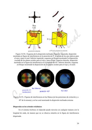 CeliaMarcosPascual
39
Figura 16.54.- Esquema de la dispersión inclinada (Superior izquierda: dispersión
mostrada en figura de interferencia en la posición de 0º, la salida de los ejes ópticos para
el rojo y para el azul. Inferior izquierda: esquema en bloque mostrando la disposición
cruzada de los planos axiales para el rojo y para el azul. Superior derecha: dispersión
mostrada en la figura de interferencia en la posición de 45º. Inferior derecha: esquema
en bloque mostrando la disposición de los planos axiales para el rojo y el azul)
Figura 16.55.- Figuras de interferencia en luz blanca (en las posiciones de extinción y a
45º de la misma) y en luz azul mostrando la dispersión inclinada extrema
Dispersión en los cristales triclínicos
En el sistema triclínico el elipsoide puede moverse en cualquier manera con la
longitud de onda, de manera que no se observa simetría en la figura de interferencia
dispersada.
 