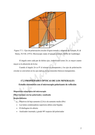 CeliaMarcosPascual
2
Figura 17.1.- Ejes de polarización circular (Figura tomada y adaptada de Galopin, R. &
Henry, N.F.M. (1972). Microscopic study of opaque minerals. Heffer & Cambridge)
El ángulo entre cada par de dichos ejes, simbolizado como 2σ, es mayor cuanto
mayor es la absorción de la luz.
Cuando el ángulo 2σ es 0º el mineral es transparente y los ejes de polarización
circular se convierten en los ejes ópticos de los minerales biáxicos transparentes.
17.2 PROPIEDADES ÓPTICAS DE LOS MINERALES
Estudio sistemático con el microscopio polarizante de reflexión
Disposición ortoscópica del microscopio
Observaciones con luz polarizada y analizada
Requerimientos
• Objetivos de bajo aumento (2,5x) o de aumento medio (I0x)
• Las lentes condensadoras superiores deben estar bajadas
• El diafragma iris abierto
• Analizador insertado y girado 90º respecto del polarizador
 
